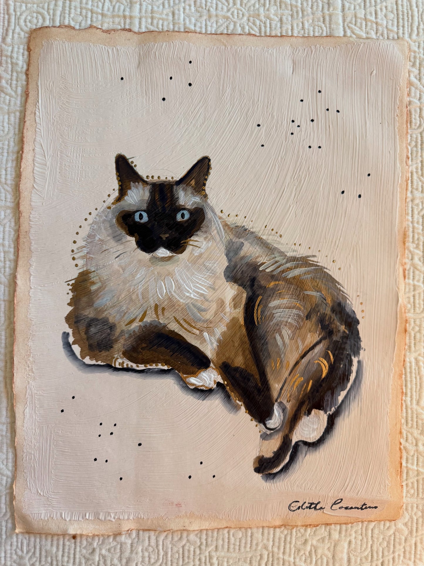 Debbie Rink Cat portraits