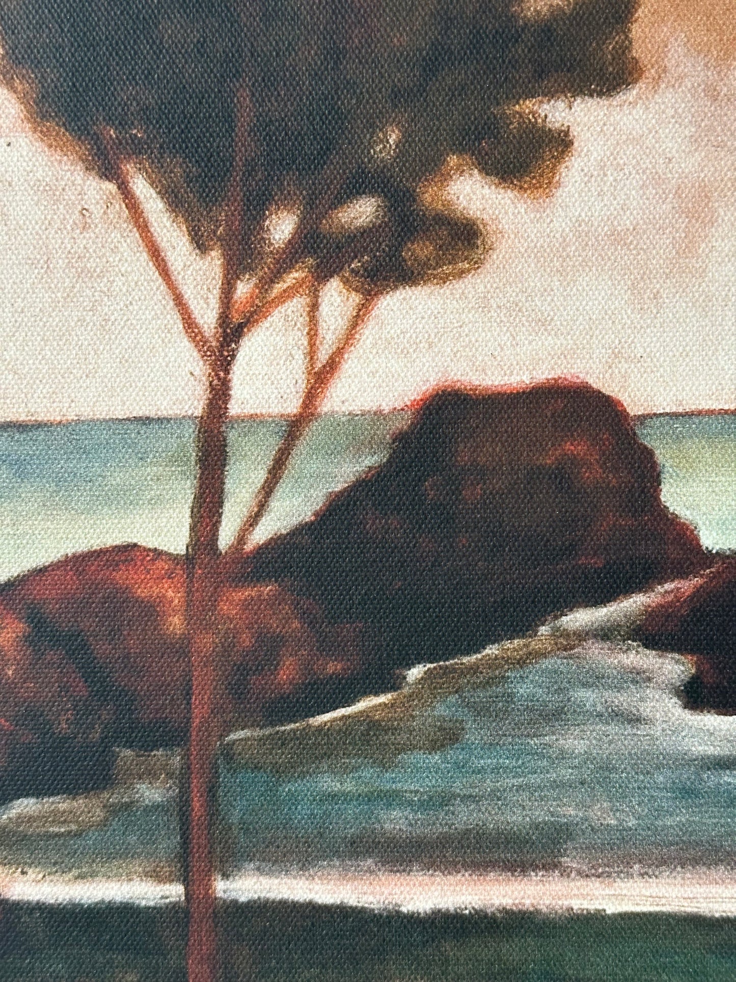 "Sonic Sunset" 12" x 12" fine art print on canvas depicting an ancient tree at sunset by the sea