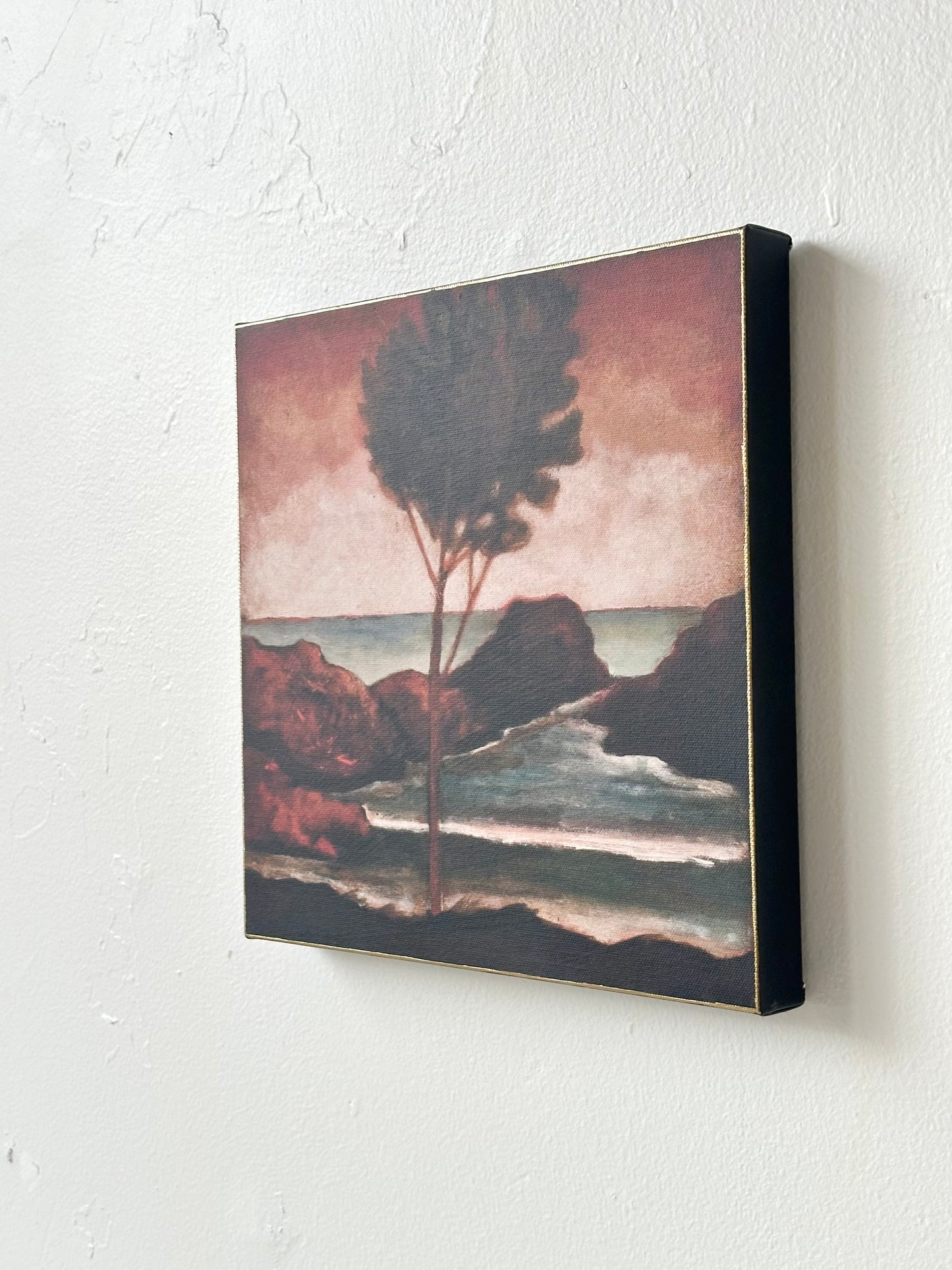 "Sonic Sunset" 12" x 12" fine art print on canvas depicting an ancient tree at sunset by the sea