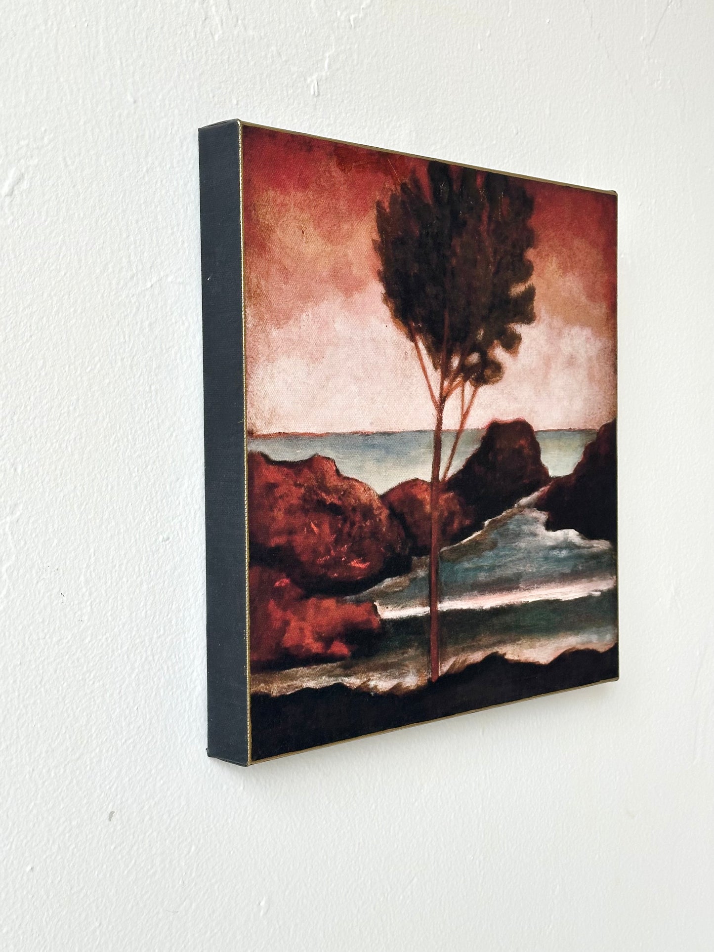 "Sonic Sunset" 12" x 12" fine art print on canvas depicting an ancient tree at sunset by the sea