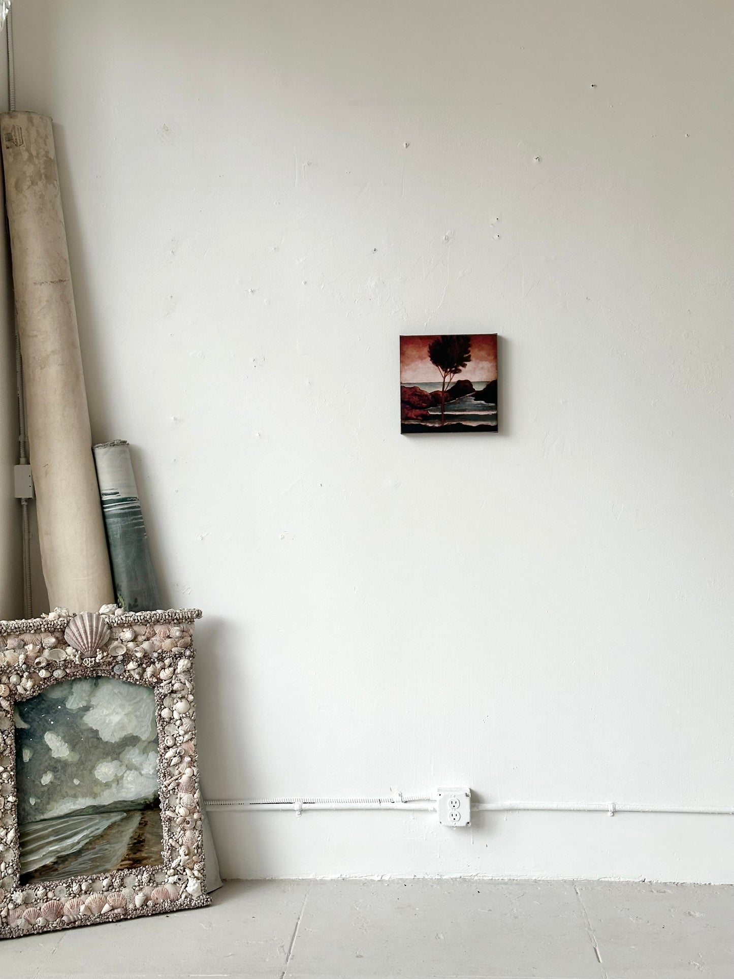 "Sonic Sunset" 12" x 12" fine art print on canvas depicting an ancient tree at sunset by the sea