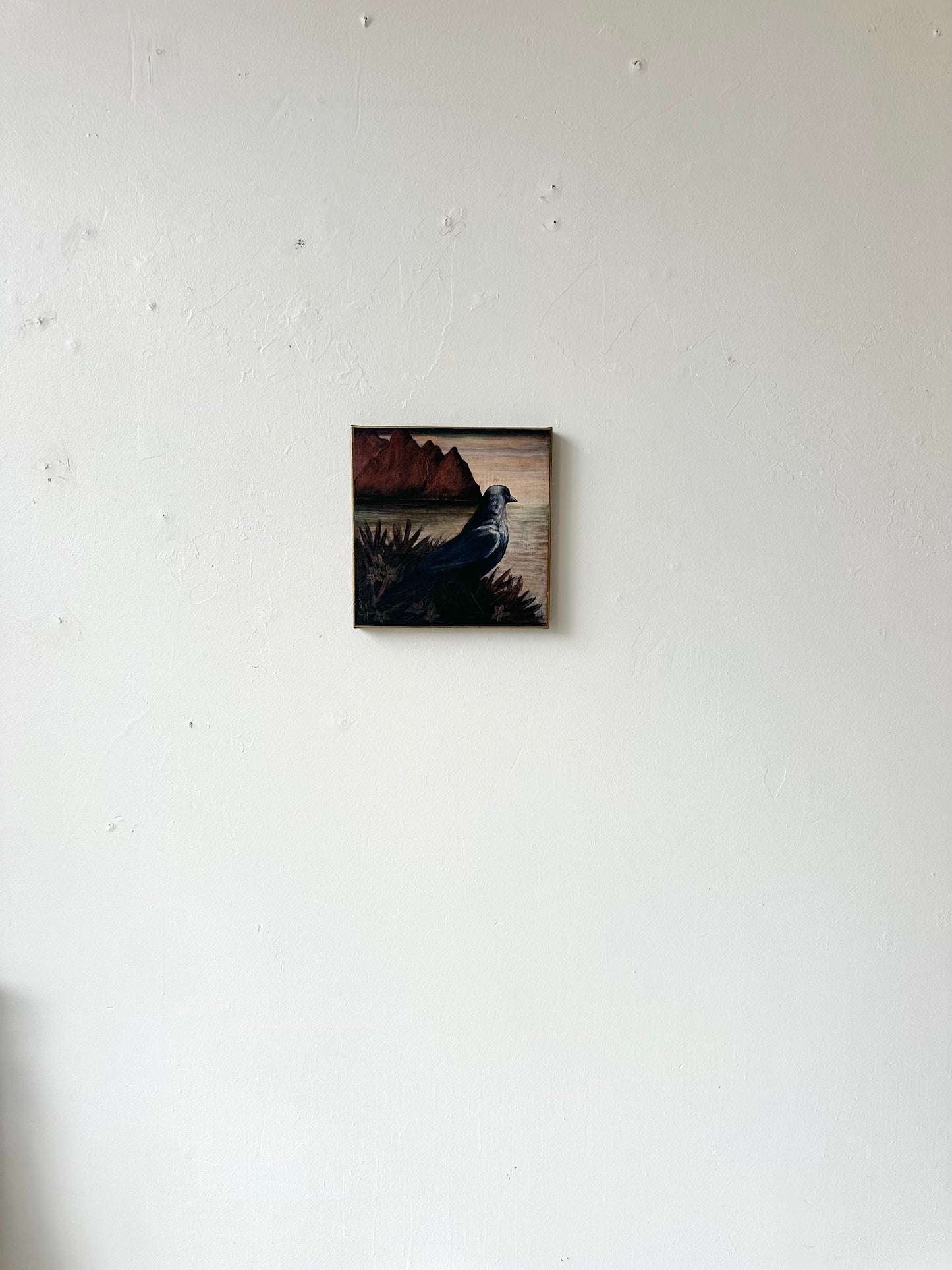 "Watchful" 12" x 12" fine art print on canvas depicting a blackbird looking out to sea