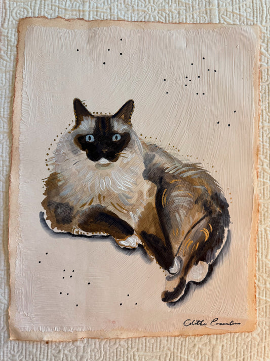 Debbie Rink Cat portraits
