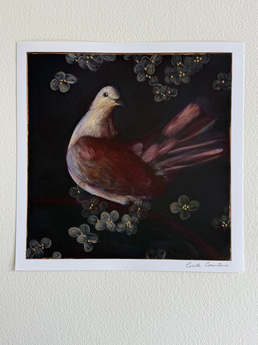 Fine Art Print of a Dove