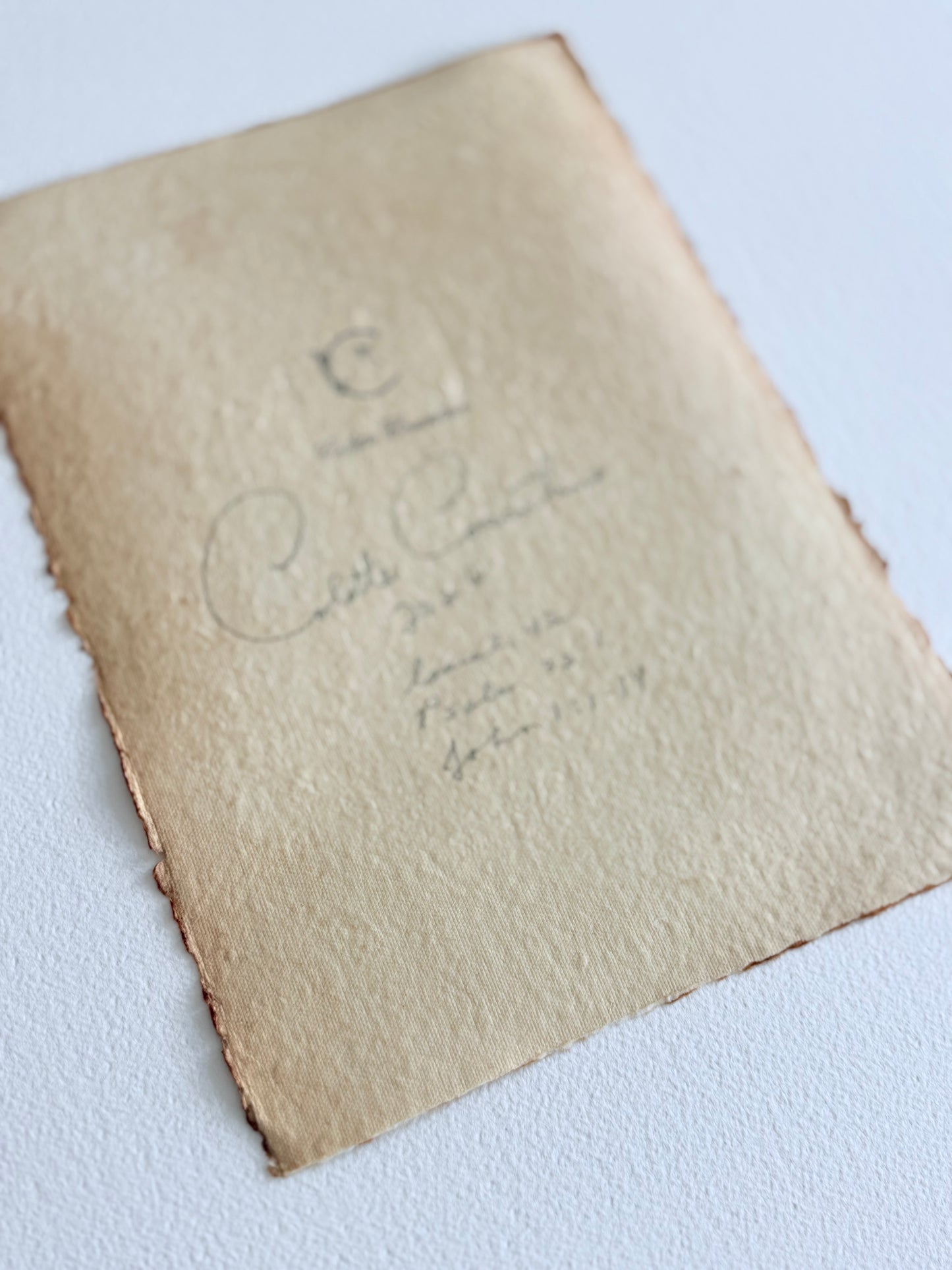 Wild floral sprigs on handmade paper
