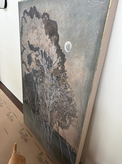 for Andrea Schumacher