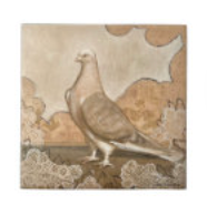 "Dignified" A Handsome Pigeon Posing, printed on ceramic tile
