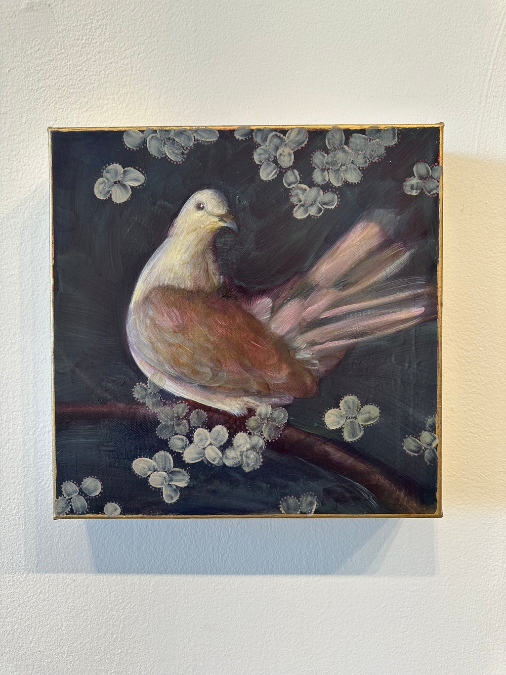 "Mirror" 12" x 12" oil painting of a dove on deep edge canvas
