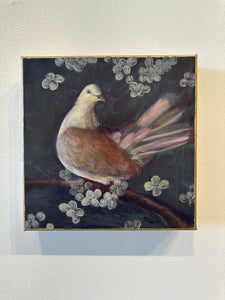"Mirror" 12" x 12" oil painting of a dove on deep edge canvas